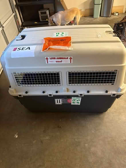 Photo of free Petmate Sky Kennel, Bellevue (Lake Hills, Bellevue, WA 98008) #1