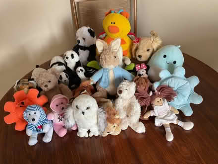 Photo of free Preloved soft toys (Hutton Mount CM13) #1