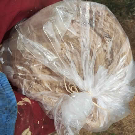 Photo of free Rock wool insulation - small piece (Tonwell SG12) #3