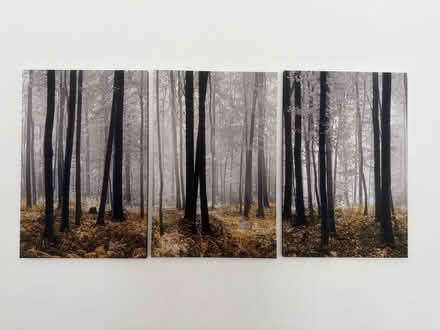 Photo of free Winter Woodland scene 3 piece print (Epsom) #1