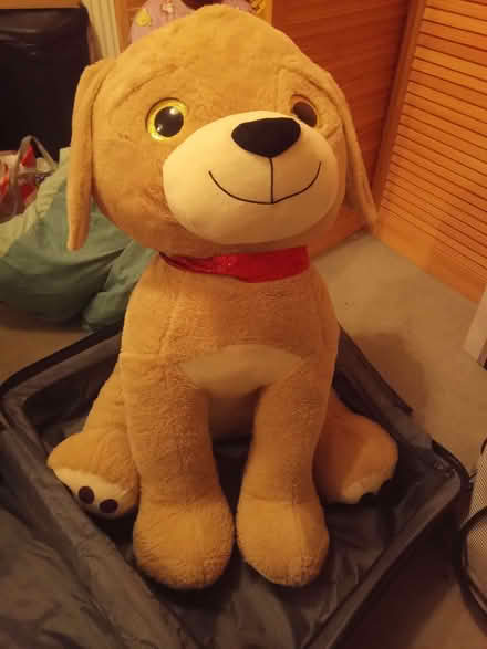 Photo of free Big Toy Dog (Colchester CO4) #1