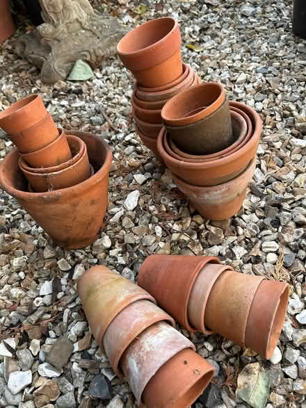 Photo of free Small terracotta flower pots (Long Sutton, Nr Langport) #1