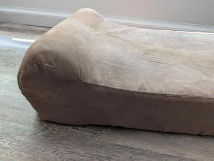 Photo of free Orthopedic dog bed (Edmonds bowl) #2
