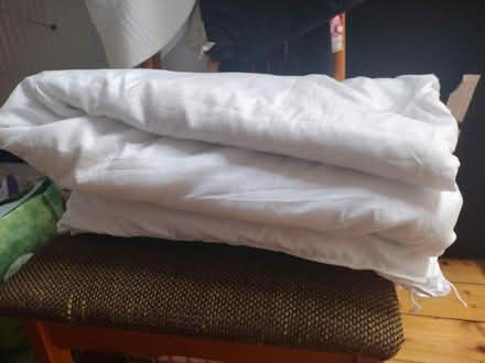 Photo of free Summer single duvet (Norwich NR7) #1