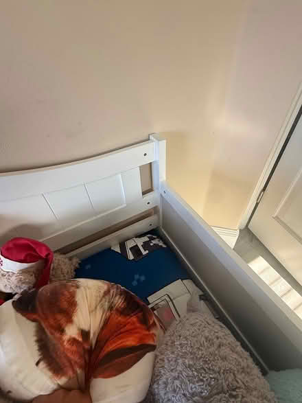 Photo of free Day bed (North Redondo beach) #4