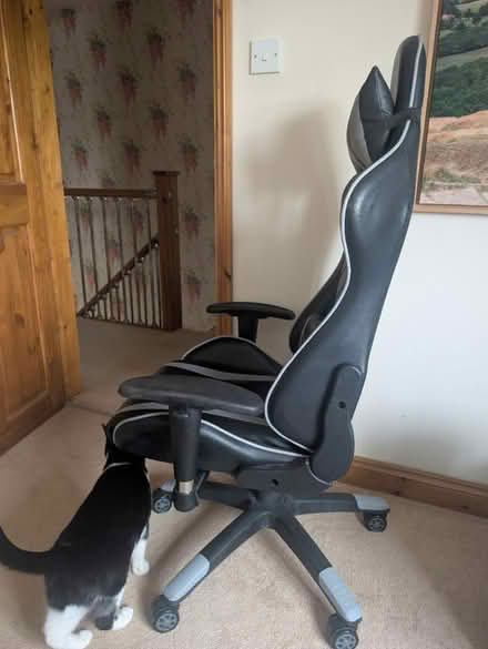 Photo of free Office/ gaming chair (Chesterton, OX26 1) #2