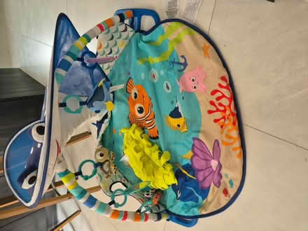 Photo of free Disney Baby gym mat with pillow (Lingfield RH7) #2