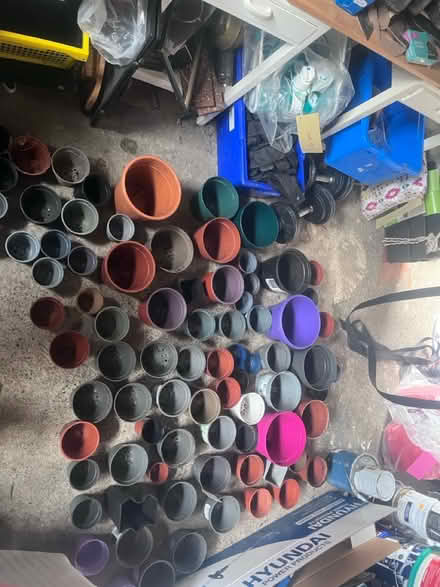 Photo of free A lot of plants lots of colours (South Dublin) #3