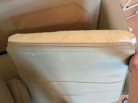 Photo of free Green Sofa Bed (Portobello EH15) #2