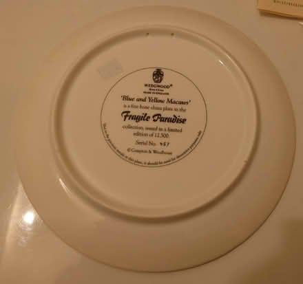 Photo of free Plate collectable, Macaws vgc (Boscombe BH5) #2