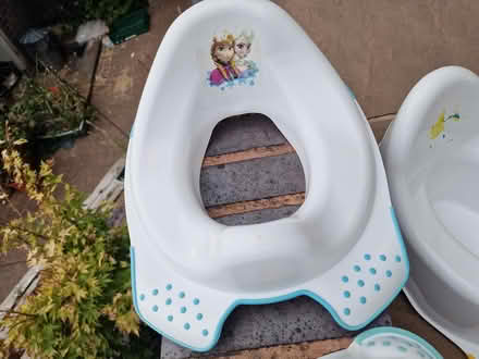 Photo of free Potty Set (Bradway, S17) #4
