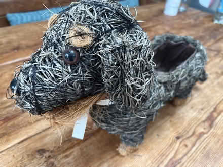 Photo of free Sausage Dog Plant Pot (Wainscott ME3) #2
