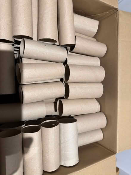 Photo of free Cardboard Toilet Roll Tubes (Staines TW18) #1