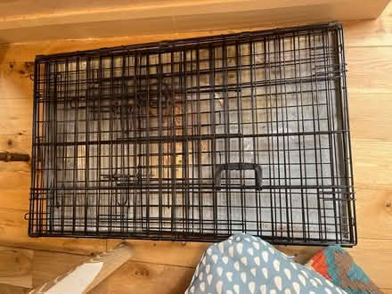 Photo of free Large dog cage (Penge SE20) #1