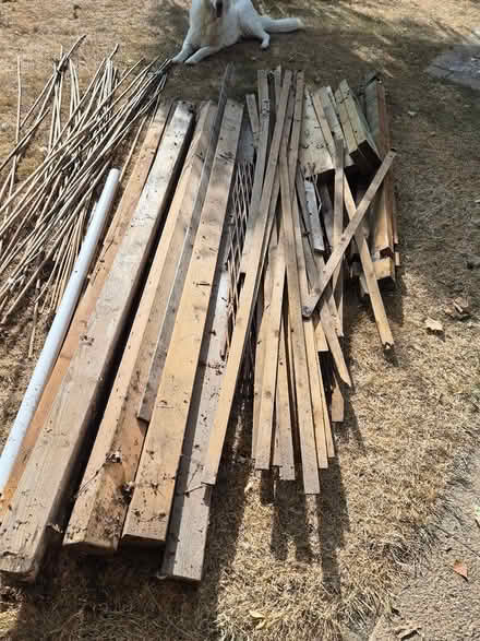 Photo of free Dry wood (Breaston DE72) #1