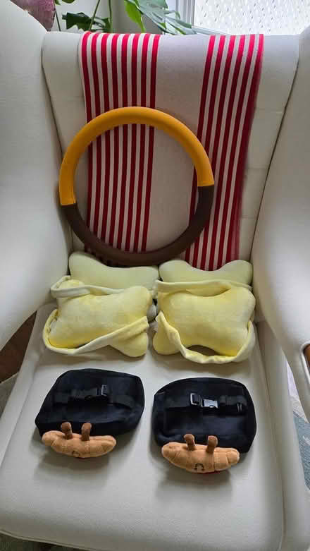 Photo of free Cute Car Accessory Bundle (River Hill) #2