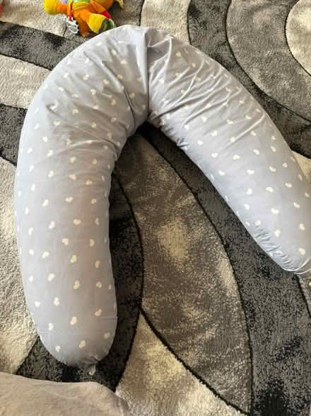 Photo of free Nursing pillow (Bellingham SE6) #1