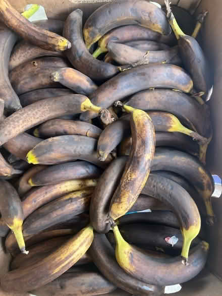 Photo of free Bananas: brown but firm (Lake City/Meadowbrook) #1