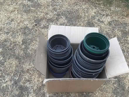 Photo of free Plants pots,plastic (Cople MK44) #1