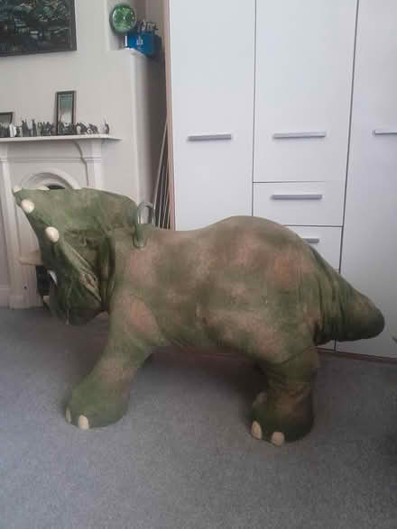 Photo of free Kota the Triceratop (Keighley BD20) #1