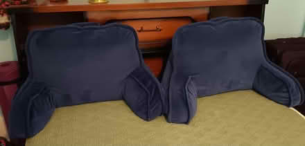 Photo of free Backrest Pillows - Pair (Near Price Chopper Saugerties) #1