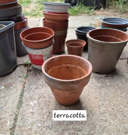 Photo of free Plastic plant pots (Westgate CT8) #3