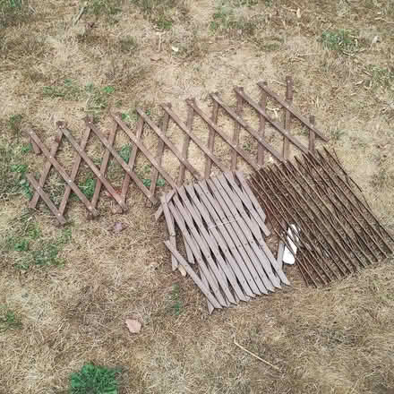 Photo of free Garden Trellis (concertina) (Tonwell SG12) #1