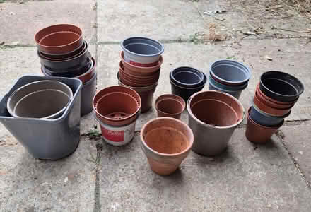 Photo of free Plastic plant pots (Westgate CT8) #2