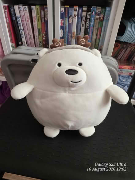Photo of free We Bare Bears Plush (spondon DE21) #1