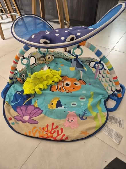 Photo of free Disney Baby gym mat with pillow (Lingfield RH7) #1