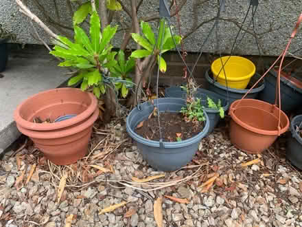 Photo of free Plant pots & hanging baskets (Glenrothes KY6) #2