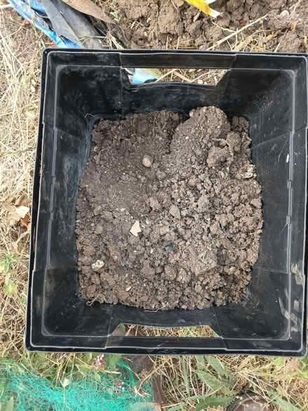 Photo of free Top soil (Greater Leys OX4) #2