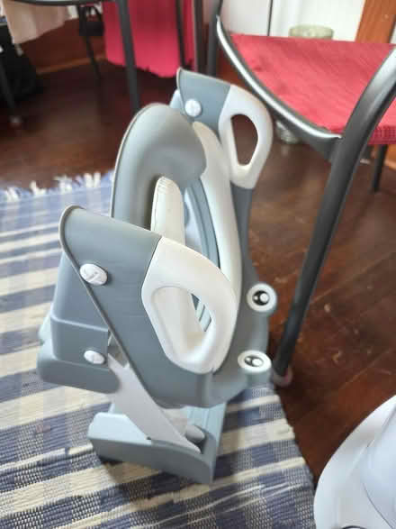 Photo of free Potty chair (Rose City Park) #2