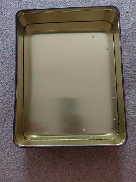 Photo of free Tin with Robin pic (New haw KT15) #2