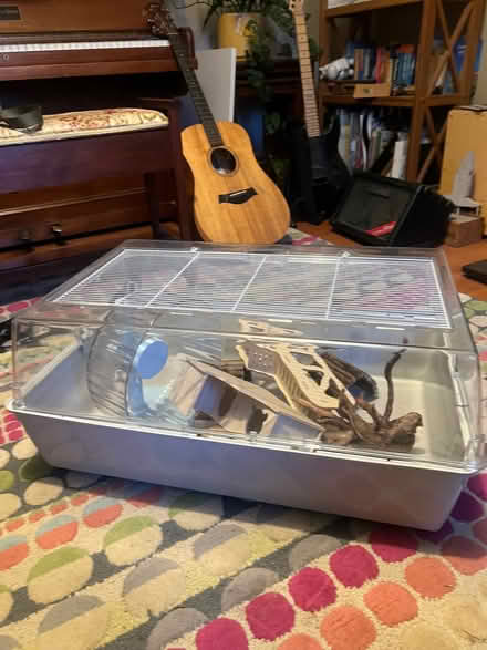 Photo of free Hamster cage from pets at home (Coleridge Ward CB1) #1