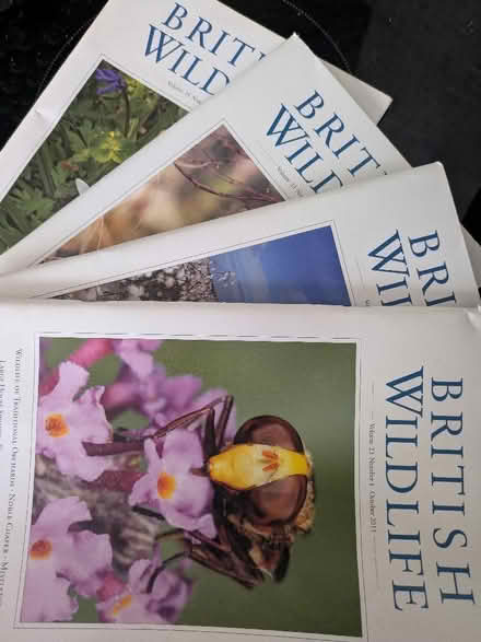 Photo of free Magazines (Cromford DE4) #1