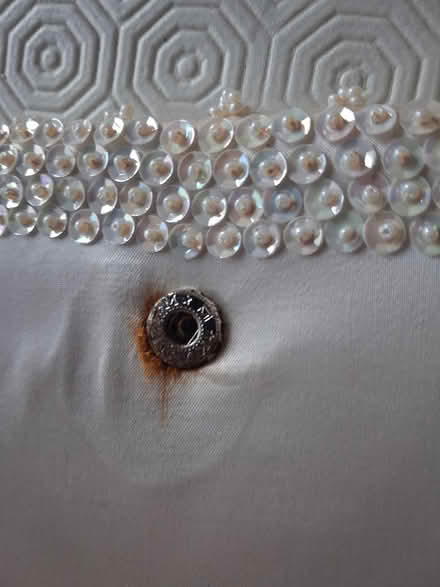 Photo of free Ladies clutch bag (Styvechale, Coventry CV3) #3