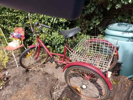 Photo of free Mission adult tricycle (Presteigne LD8) #1