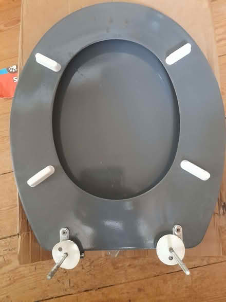 Photo of free loo seat (Wimbledon Village SW19) #1