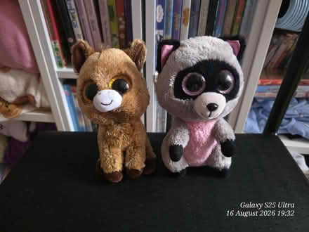 Photo of free TY Plushies without tags (spondon DE21) #1