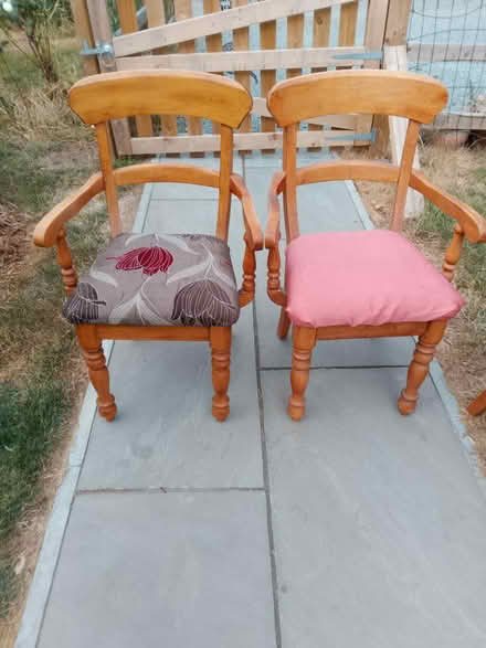 Photo of free 6 antique pine dining chairs (Hereford HR4) #1