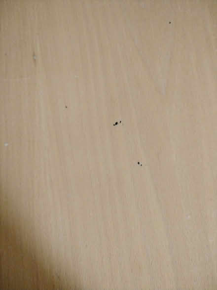 Photo of free Dining Table (Greetham LE15) #1