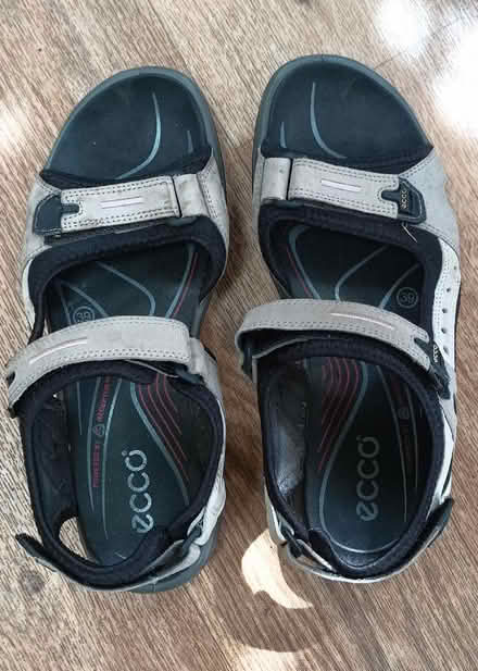 Photo of free Ecco walking sandals (39) (Chippenham SN15) #1