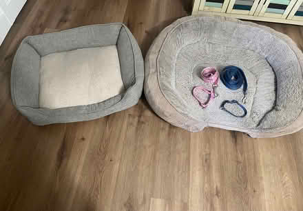 Photo of free Used Dog beds, leashes and collars (East LAKEWOOD) #1