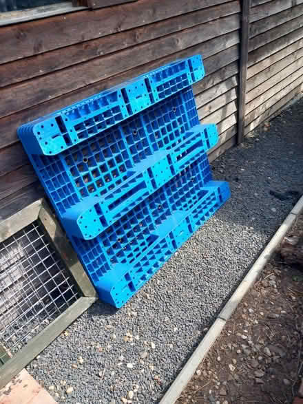 Photo of Plastic Pallet (Worcester wr2) #1