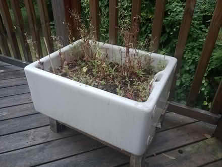 Photo of free Old ceramic sink planters (Headingley) #2
