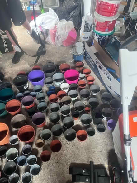 Photo of free A lot of plants lots of colours (South Dublin) #2