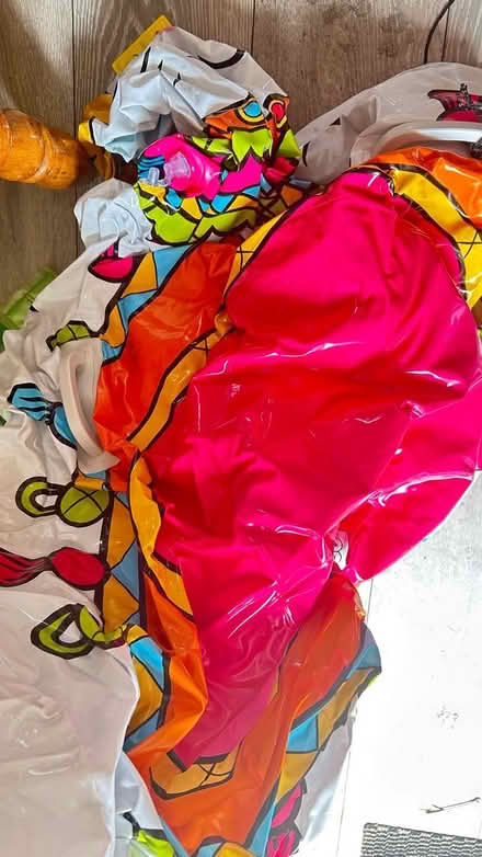 Photo of free Inflatable Floaty Llama (Twickenham TW1) #1