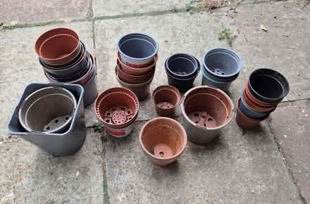 Photo of free Plastic plant pots (Westgate CT8) #1
