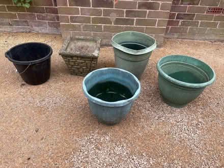 Photo of free Large plant pots for shrubs etc (Millfields CW5) #1